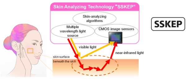 Sony's Smart Skin Evaluation Program (SSKEP).